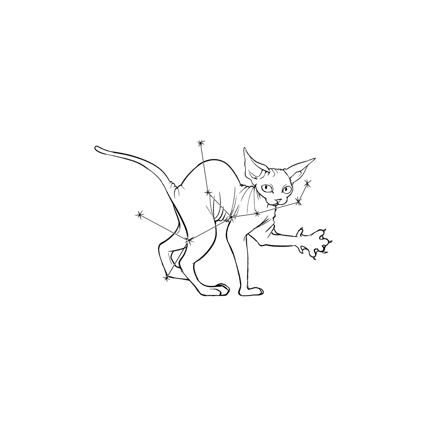 Hairless Cat Zodiac Stickers
