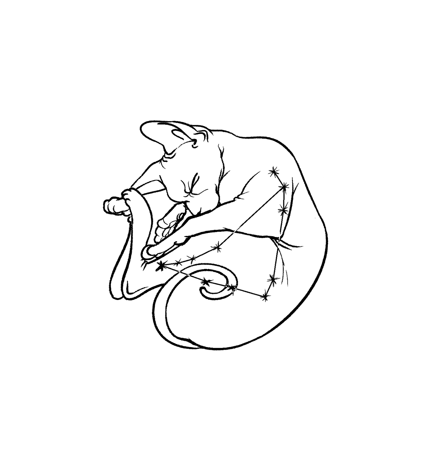 Hairless Cat Zodiac Stickers