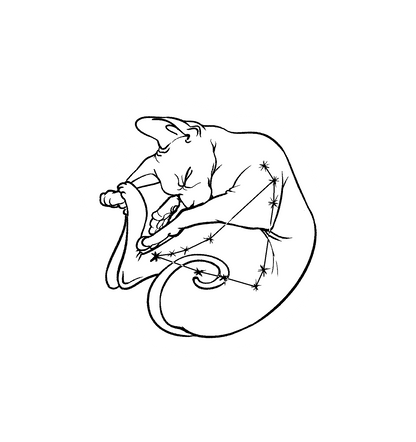 Hairless Cat Zodiac Stickers