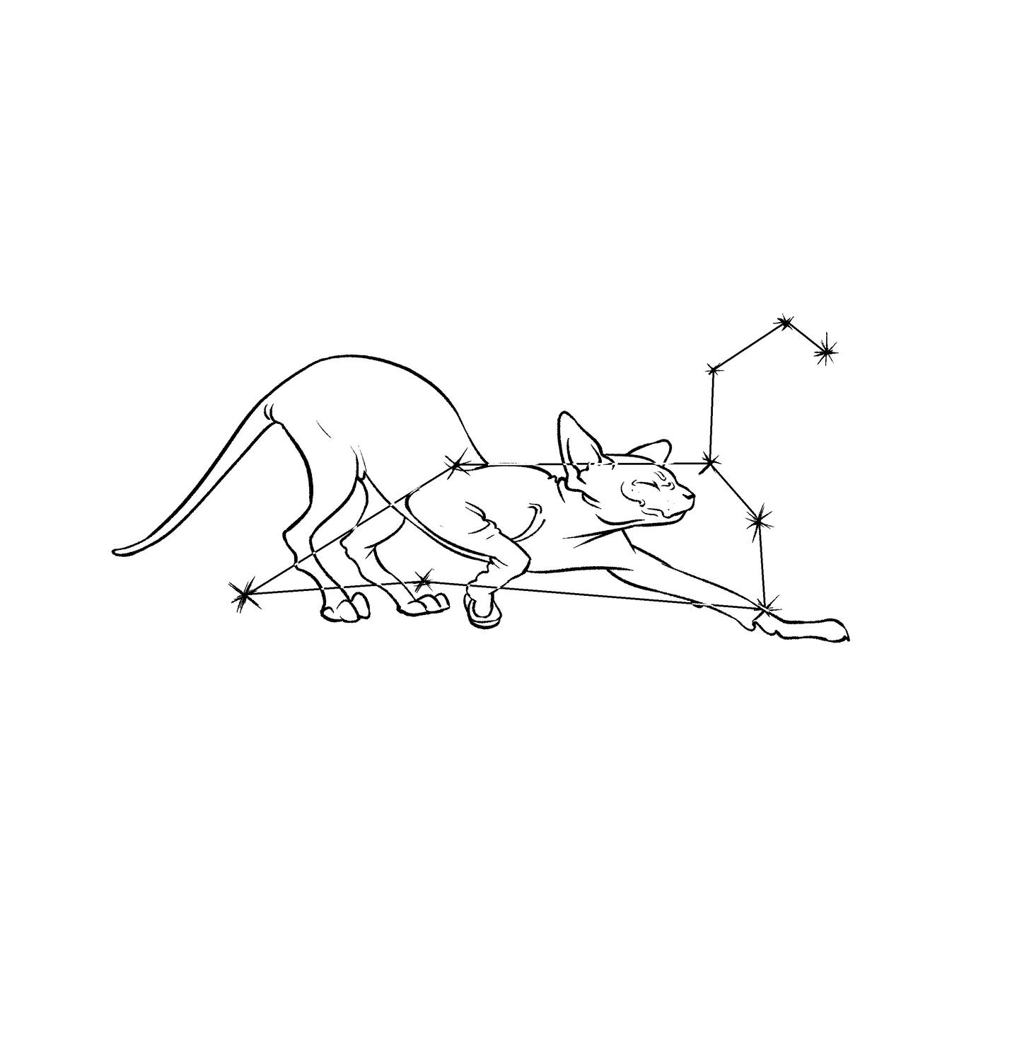 Hairless Cat Zodiac Stickers