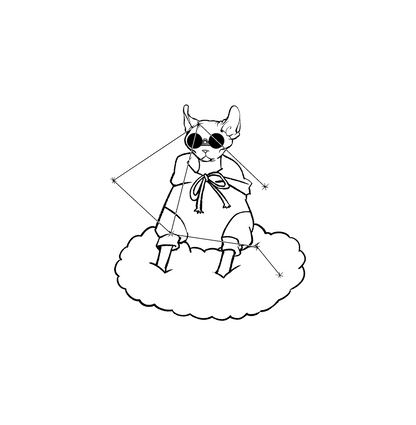 Hairless Cat Zodiac Stickers
