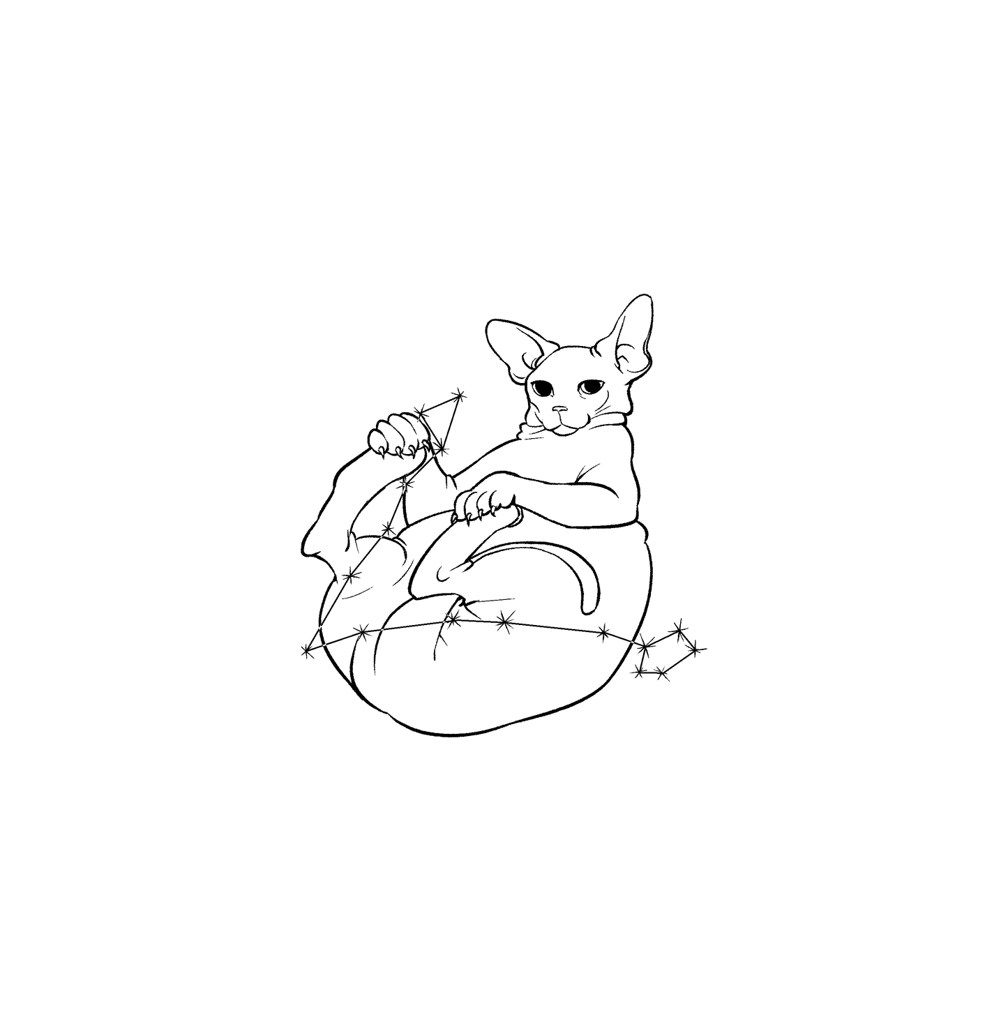 Hairless Cat Zodiac Stickers