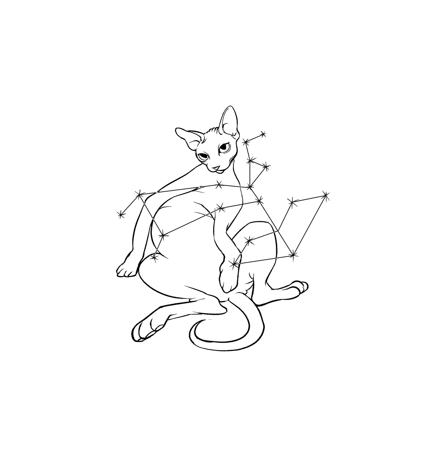 Hairless Cat Zodiac Stickers