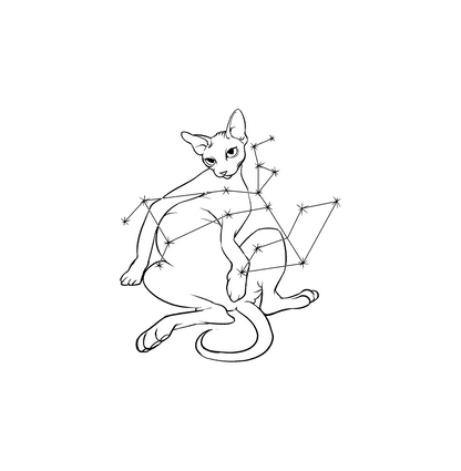 Hairless Cat Zodiac Stickers