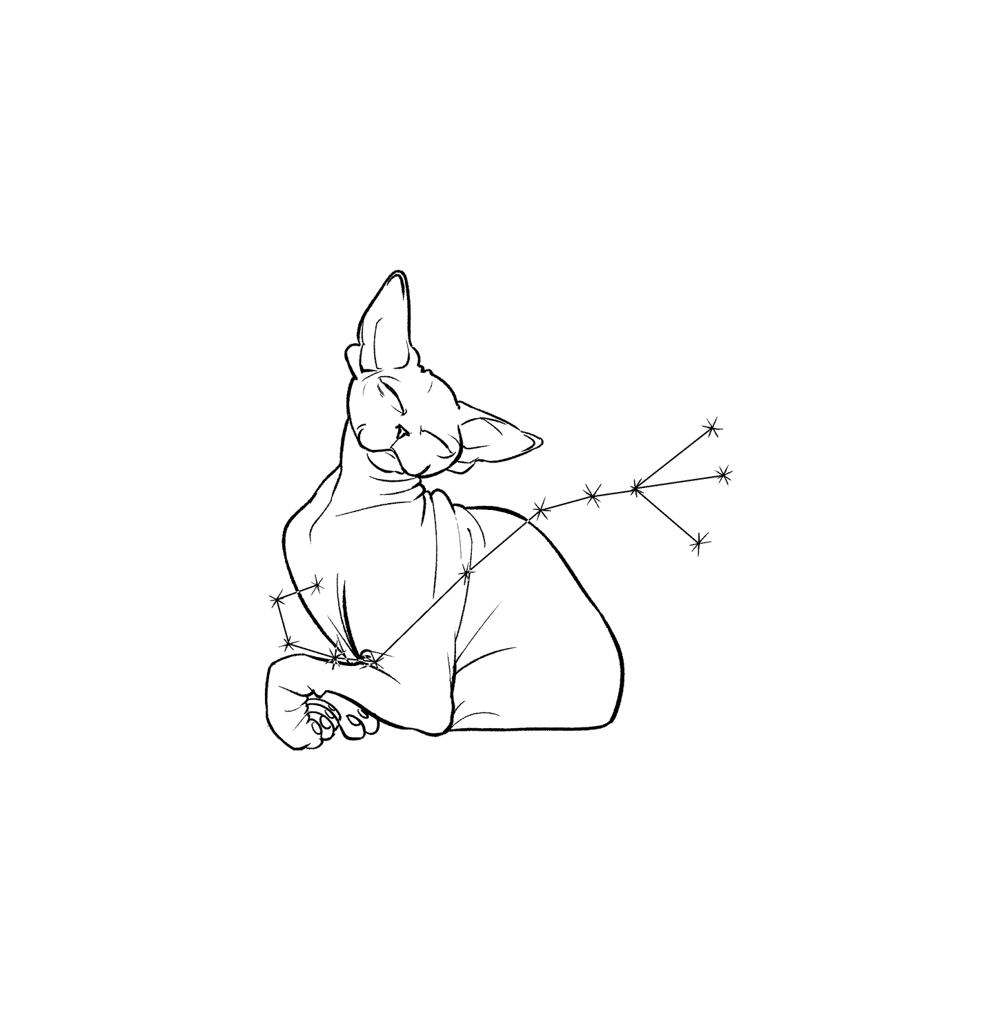 Hairless Cat Zodiac Stickers