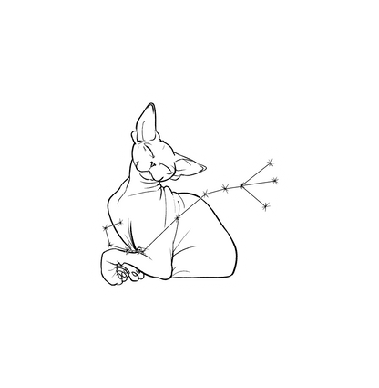 Hairless Cat Zodiac Stickers