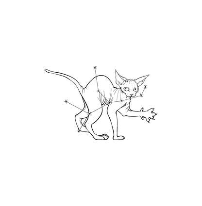 Hairless Cat Zodiac Stickers